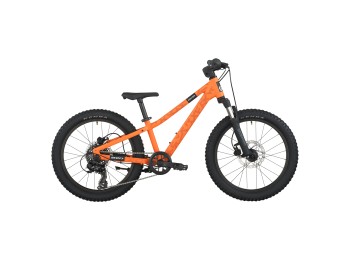 SCOTT ROXTER 200 2026