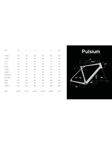 Lapierre Pulsium 4.0 Disc GRX (2027) | Vélo Route Carbone | VELOPERFO