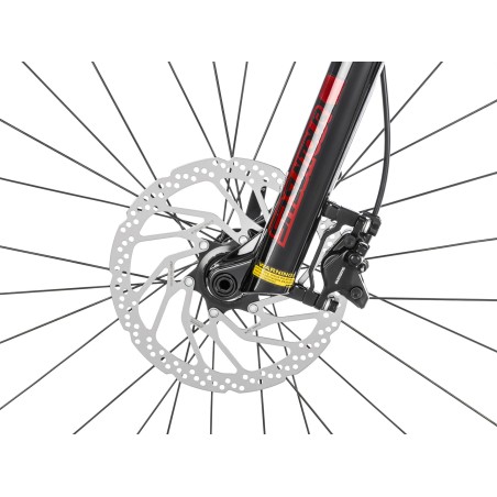 MOUSTACHE SAMEDI 27 WIDE 3 2023 SMART