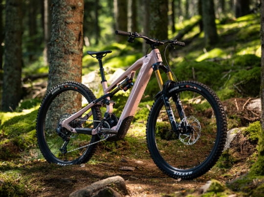 webimage-91AC84FF-AD1D-4CE5-86A61E3ED177CB96